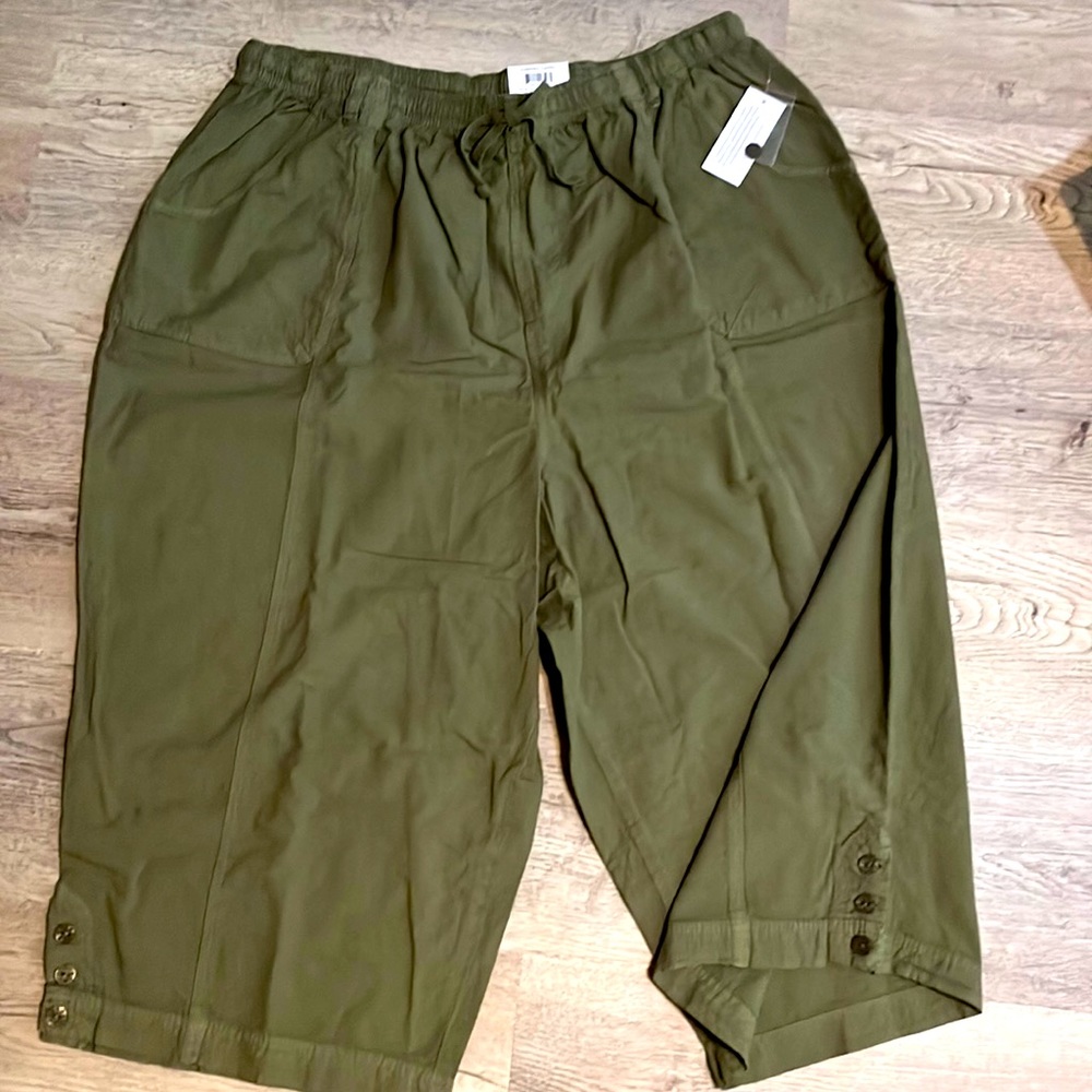 Karen Scott Cherry Capri comfort waist Olive Spring Green Plus